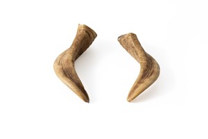 Image description is not available for 2011.61.1